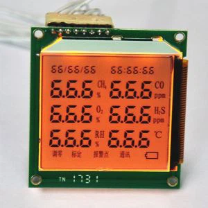 Xya Segment Zaub Module